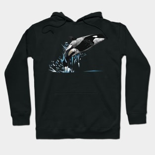 Orca Hoodie